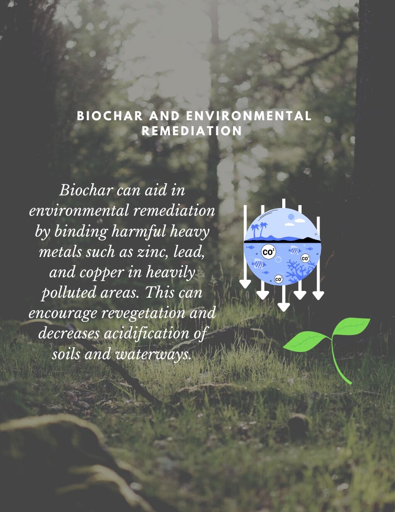 #biochar #sustainability #sustainable #NaturalClimateSolutions #KCT #carbon #sustainableimpact #waste #biomass #carbon
