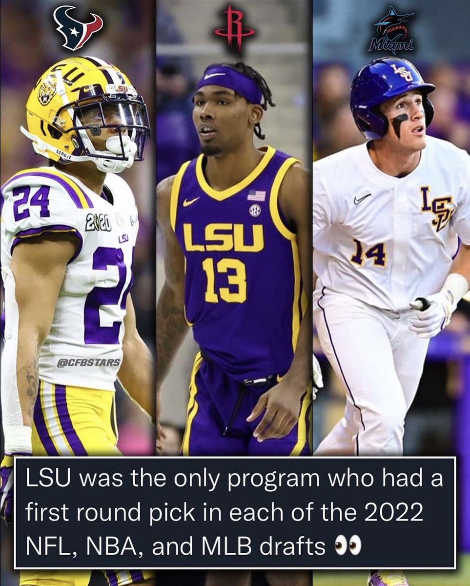 Mikdup_8's tweet photo. #LSU is simply built different🐯😤 https://t.co/H9E39Eyimh