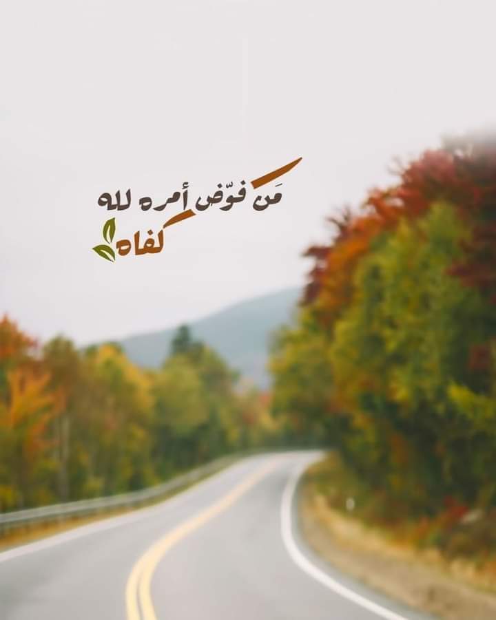 MSs46114597's tweet photo. @amira_elmesalhy https://t.co/JMkHFRh3gf