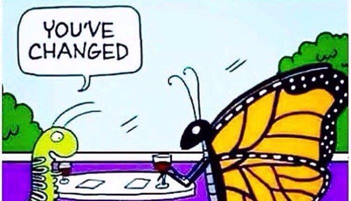 ¿PODRÍA LA ORUGA CONVERTIRSE EN MARIPOSA SI MANTUVIERA SU MISMO NIVEL DE CONSCIENCIA?

Einstein decía que "Ningún problema se puede resolver en el mismo nivel de consciencia en que se creó".

linkedin.com/posts/estebane…