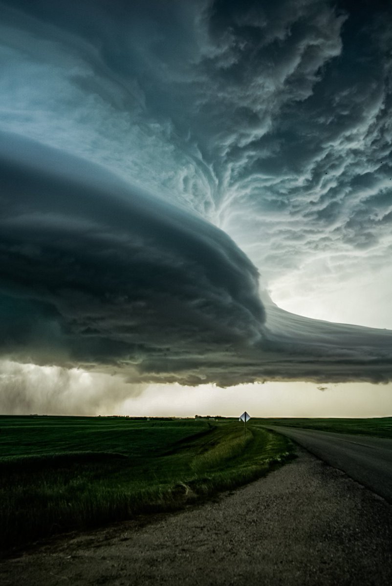 MitchHealeyPics's tweet photo. Nature really does amazing things https://t.co/sJAn3phLek