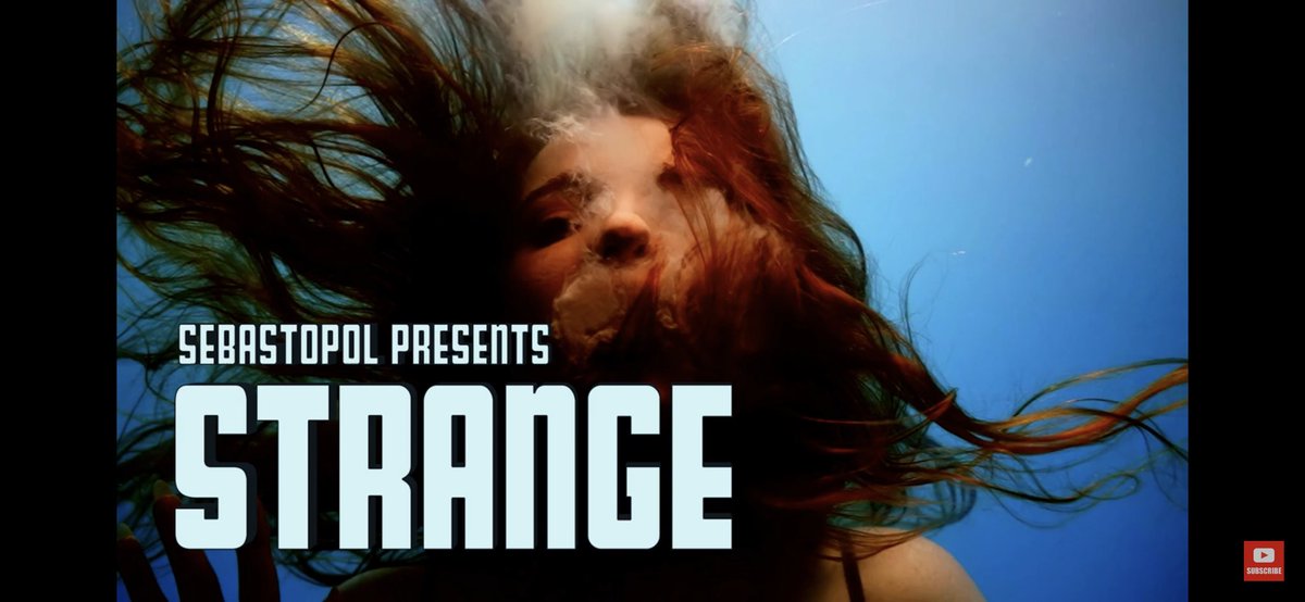 Sebastopol tweet media