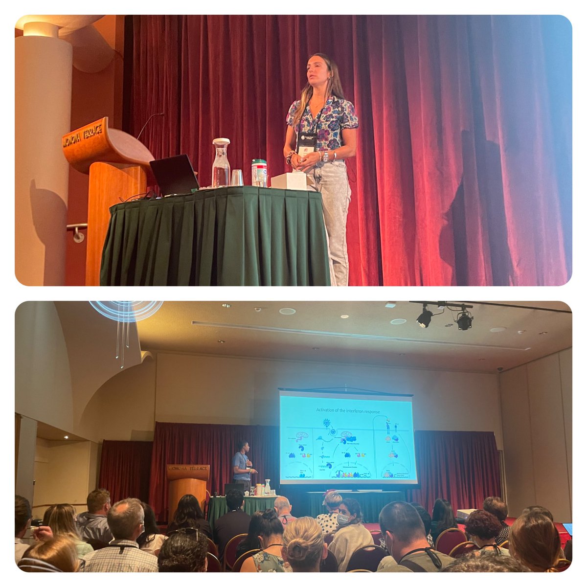 Benjamin tenOever on Twitter "It is so rewarding to watch members of