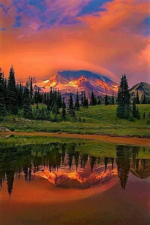 rvmrn42's tweet photo. Good evening everyone https://t.co/sZTbpqpTjP