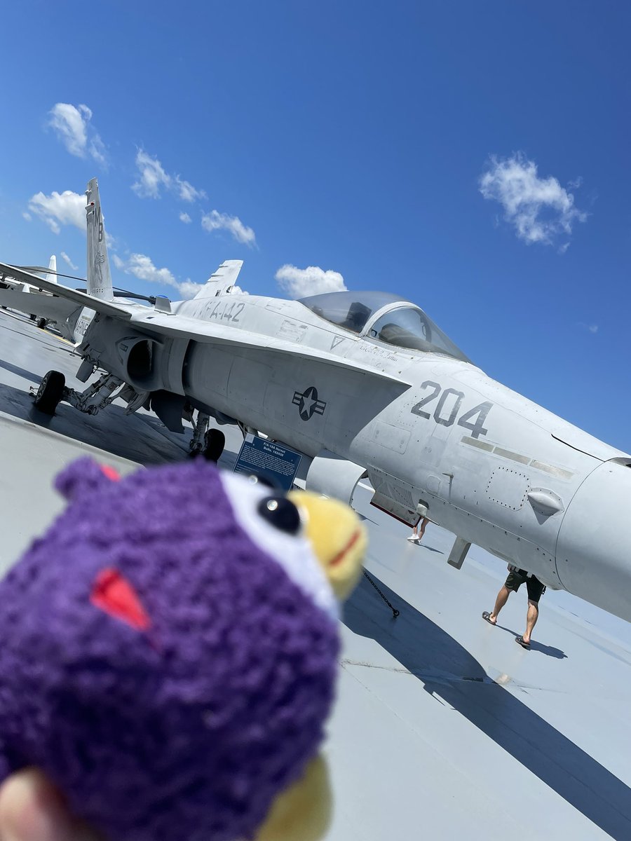 Took Peepy to see the USS Yorktown and we found some cool planes :)
#peepy @itemLabel #ussyorktown