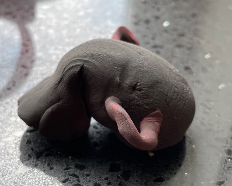 AshesOnFlow tweet media