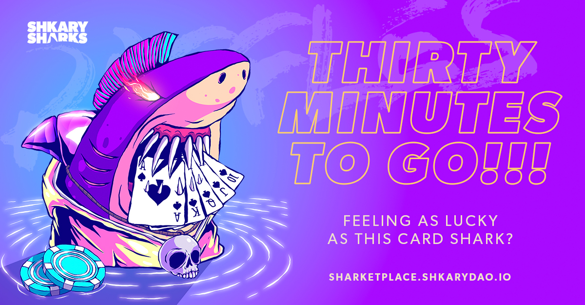 ShkarySharks's tweet photo. Less than 30 minutes until our raffles and auctions goes live. We hope you've all been staking your sharks since April and have a fat stack of CHOMPS.
This is Peter, he takes his raffles very serious. Be like Peter.
Good luck and may Kāmohoaliʻi smile upon you.
#sharketplace https://t.co/2cGLuEQoMl