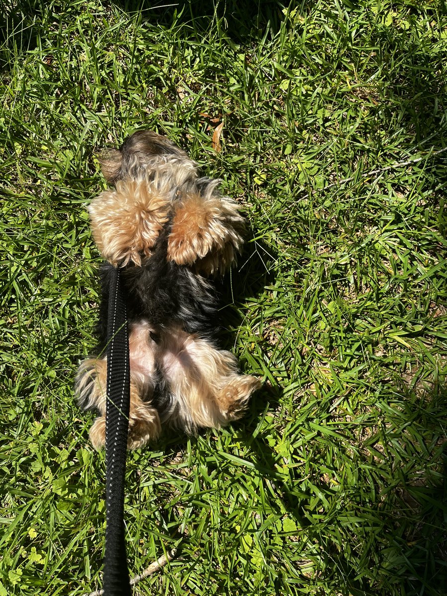 How we doing friends?!