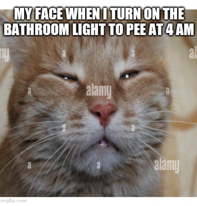 Mary Elizabeth Murphy tweet media