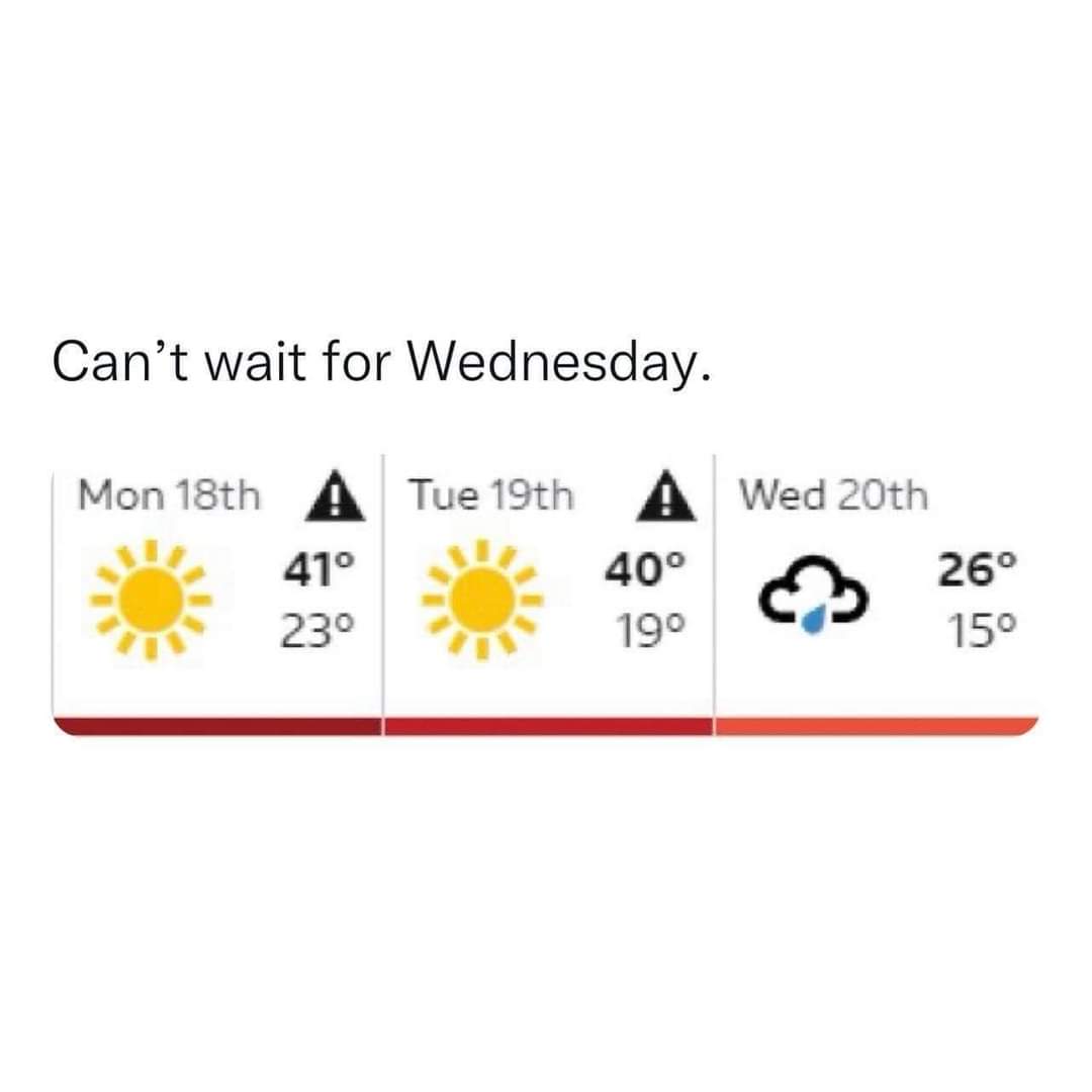 🧡 Mikki 🐝💙 tweet media