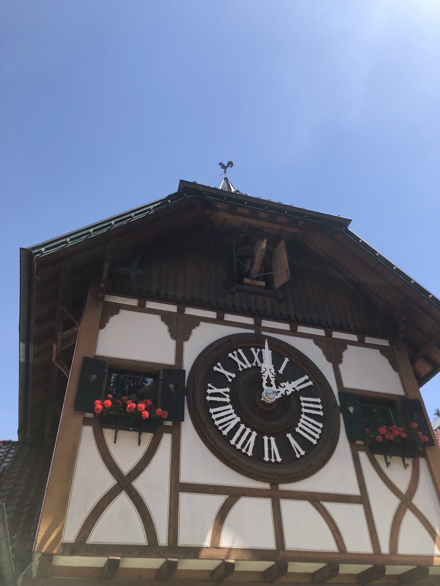 The world’s largest cuckoo clock in Triberg Germany 🇩🇪 #blackforestvacation #yesiboughtacuckooclock
