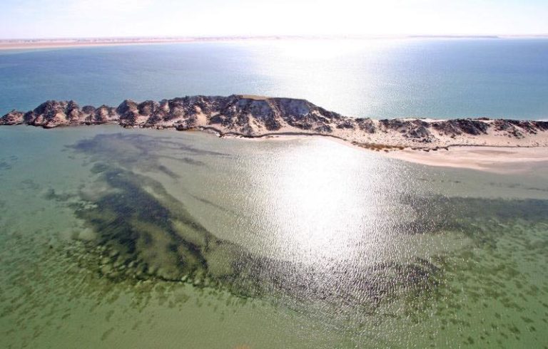 IsiAuk's tweet photo. Un peu de beauté du Sahara marocain
Dakhla 📍
#morocco
#maroc
#amazingh https://t.co/V73wOA4ibT