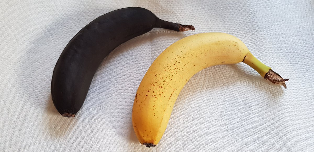 These bananas were the same colour this morning but I left one of them in my van today ☀️🌡🔥