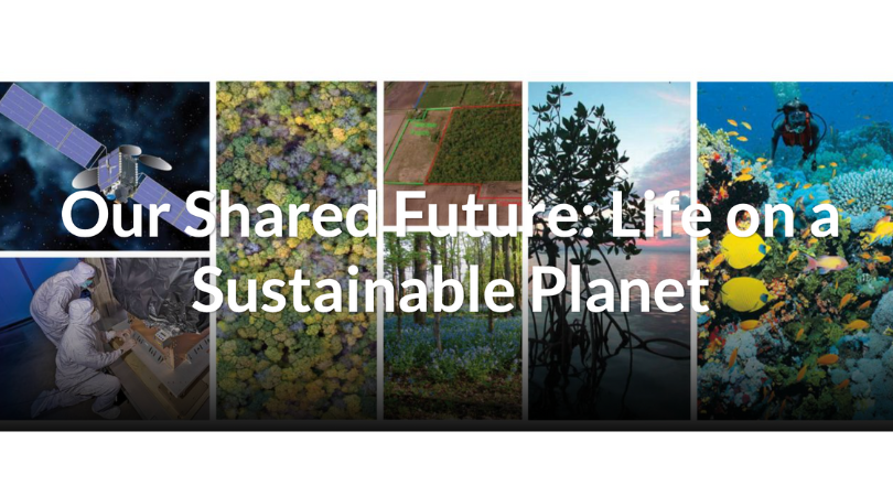 Two new fellowship programs are being launched by the <a href="/smithsonian/">Smithsonian</a>: the Smithsonian Climate Change Fellowship and the Smithsonian Environmental Justice Fellowship. 

Over the course of two years, each program will support between two and five fellows.

fellowships.si.edu/CCEJ