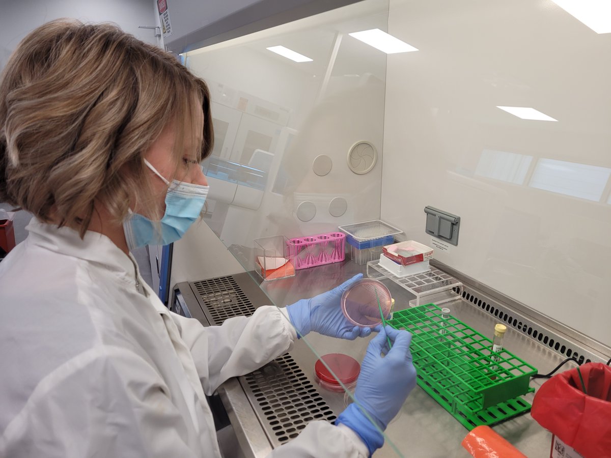 We have expanded our microbiology testing to help with urinary tract and wound infections. You can learn how those tests are conducted at redituslabs.com/reditus-expand…
#microbiology #urinarytractinfections #wouldinfections