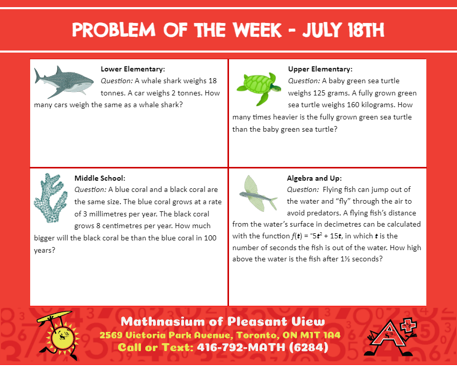 MathnasiumPv's tweet photo. Here are this week's PROBLEMS OF THE WEEK! 

#problemoftheweek #math #mathisfun #mathforkids #mathtutoring #mathenrichment #matheducation #education #mathnasium #pleasantview #torontomathtutoring #mathproblem #mathforchildren #mathhelp #homeworkhelp #toronto #mathematics https://t.co/TAVreKpcvi