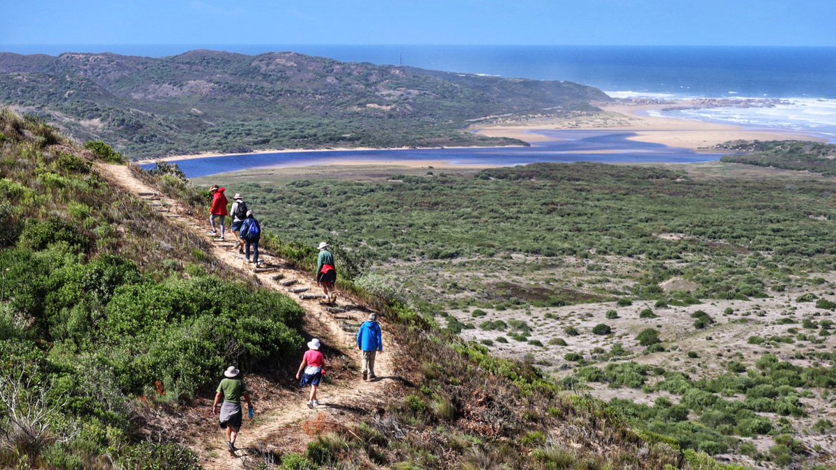 CoastalWalk's tweet photo. Take a #hike through the #GardenRoute between #Wilderness and #Knysna on a 5 day #slackpacking tour.
#ecoadventure #hikingadventures #SouthAfrica #MDguiding #CapeNature #SANParks 
https://t.co/X7n2aod28s https://t.co/VeW1CFYYG5