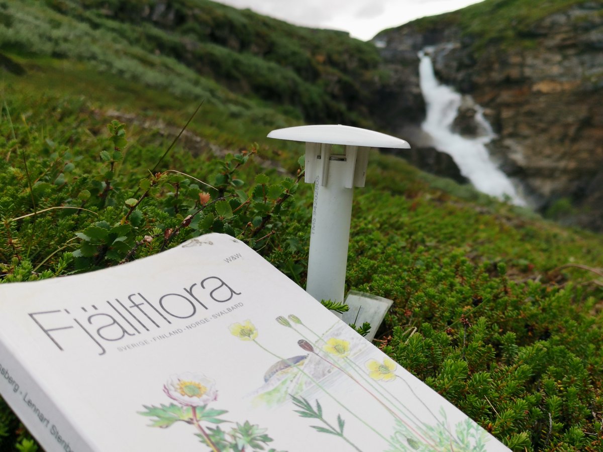 Microclimate time series and long-term plant species observations, my dream combo🤩.

More on our Abisko fieldwork trip --&gt; the3dlab.org/2022/07/15/epi…