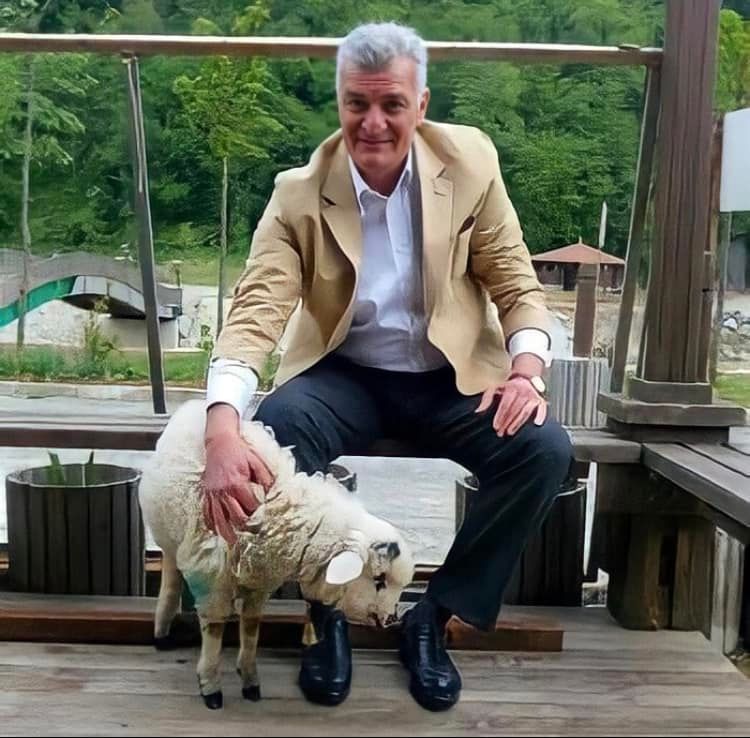 ahaber's tweet photo. Bakan Soylu'nun kuzeni silahlı saldırıda öldürüldü
https://t.co/OHRPUDmceY https://t.co/8YXsRLAfnT