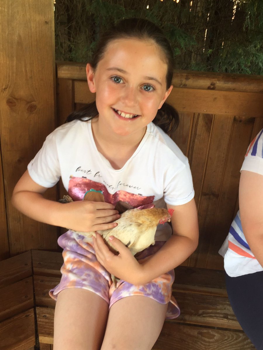 MosesLeanne's tweet photo. @SychdynSchool Dosbarth Clwyd had two special visitors today…Goldie &amp; Snowy 🐓 we loved meeting these adorable bantam chickens 🥰 https://t.co/W74YqOCTb5