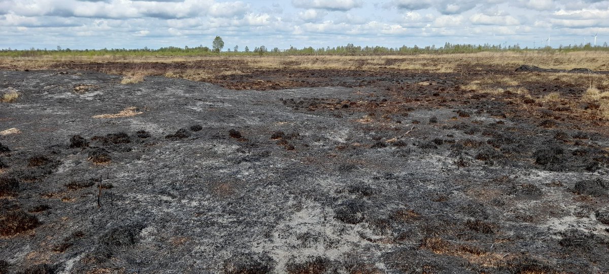 4peatssake2's tweet photo. @DisposablBBQBan @Greengrumbler @B4Biodiversity In 2020 50% (c.1800 acres) of #Hatfield Moors SSSI (right hand image) devastated by #Wildfire, finally out in October 2020😖 In April this year c.100 acres on #Thorne Moors SSSI was damaged Time to #BanSingleUse #BBQs @NickFletcherMP @Ed_Miliband @ZacGoldsmith @yorkshirepost https://t.co/XNHMQPxHzJ