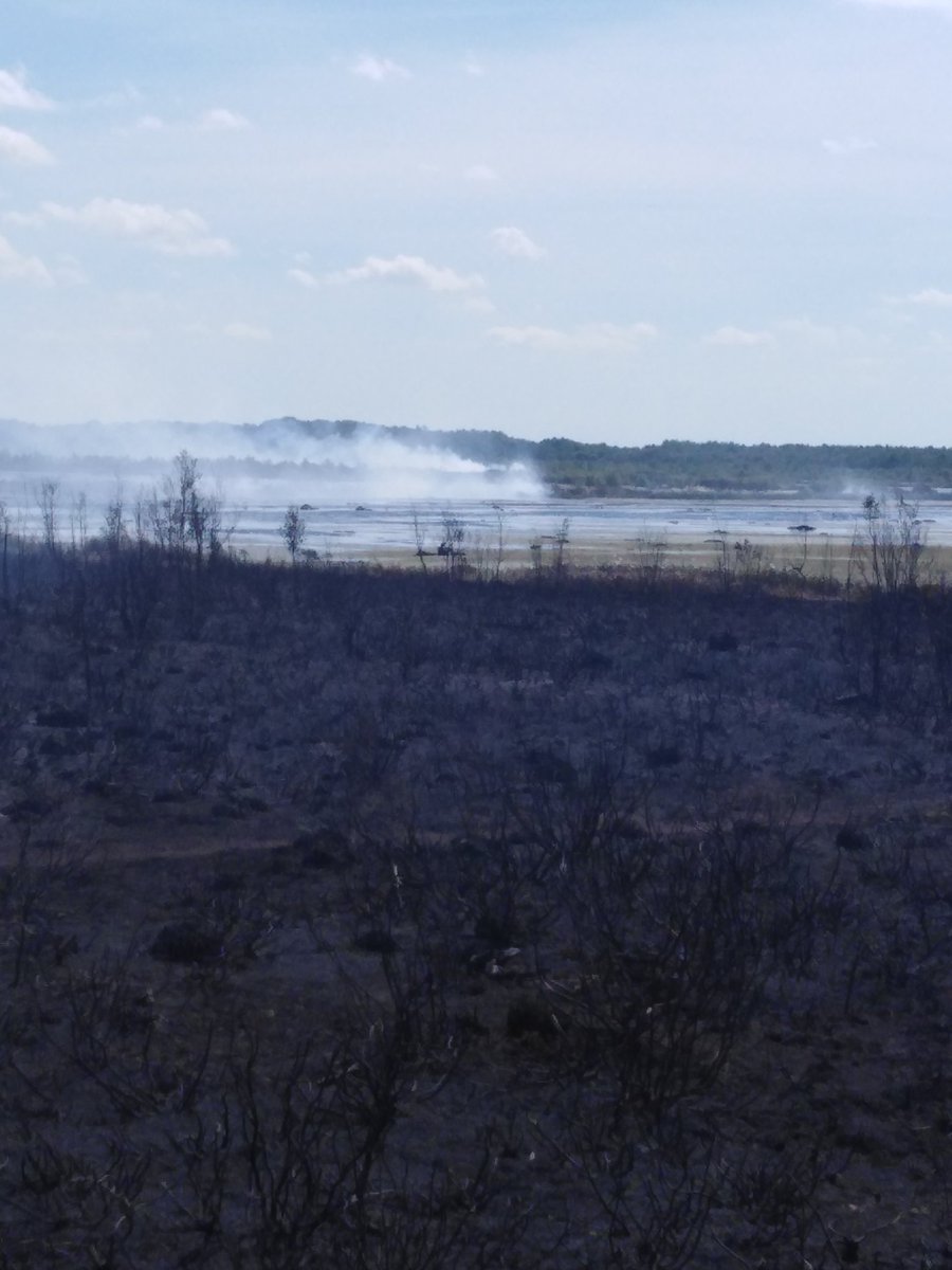 4peatssake2's tweet photo. @DisposablBBQBan @Greengrumbler @B4Biodiversity In 2020 50% (c.1800 acres) of #Hatfield Moors SSSI (right hand image) devastated by #Wildfire, finally out in October 2020😖 In April this year c.100 acres on #Thorne Moors SSSI was damaged Time to #BanSingleUse #BBQs @NickFletcherMP @Ed_Miliband @ZacGoldsmith @yorkshirepost https://t.co/XNHMQPxHzJ