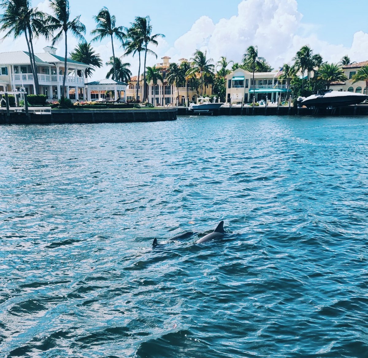 Seth Rand tweet media