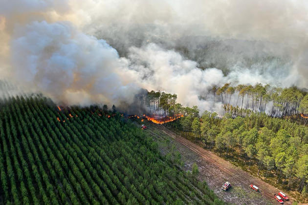 irotchk's tweet photo. We hope it will not come closer. Since days we see the smoke and smell it on our property. A huge #Forestfire is ongoing in the Landes in  south west #France. The fire started when we were still on holidays and they couldn’t stop it until now. Today 43 degrees C. 🔥🥵😵‍💫 https://t.co/laXcjrXkBQ