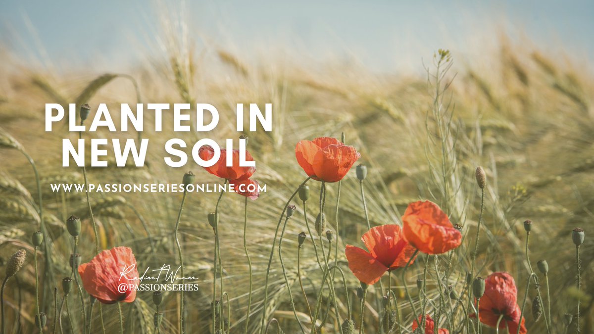 PassionSeries's tweet photo. "Trusting God &amp; taking that first step is such a big part of letting go and moving forward to that new fertile ground that God has planted you in." - #Planted in New #Soil https://t.co/KOPbMQZux4

#clutter #free #passion #me #God #RadiantWoman #passionseries #inspire #promise https://t.co/6B1R65KSrV