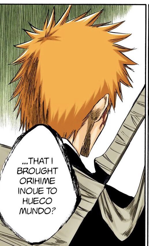 rinasssih's tweet photo. i will always love the way kubo doesn’t show ichigo’s eyes when orihime could be in danger https://t.co/0w38F6U4m7