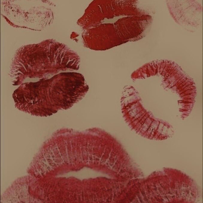 ༻ ♱ ༺ tweet media