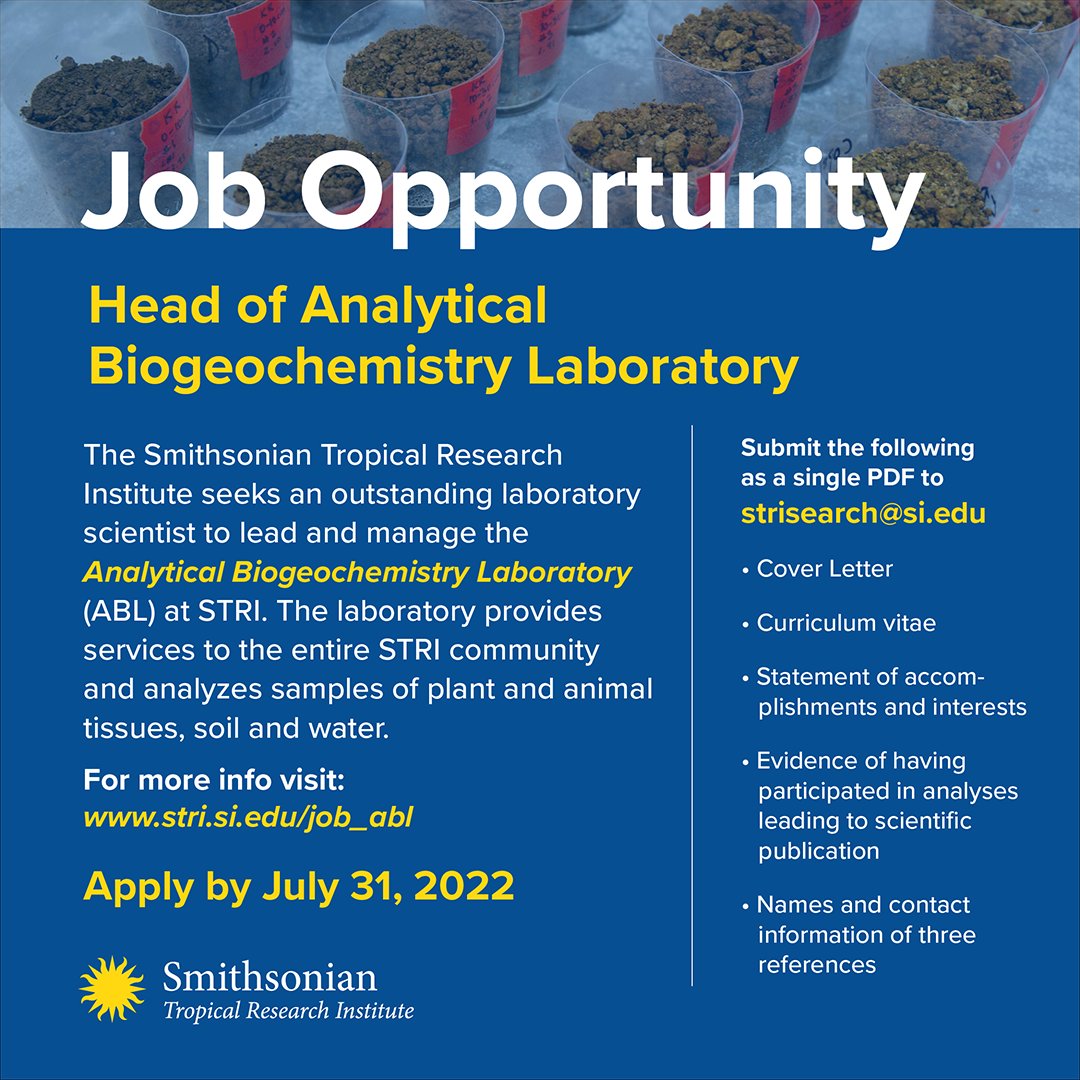 Corriendo la voz sobre este puesto - ven a trabajar con nosotr@s! (Sería especialmente fantástico tener a un/una panameñ@ en esta posición)... 🙏