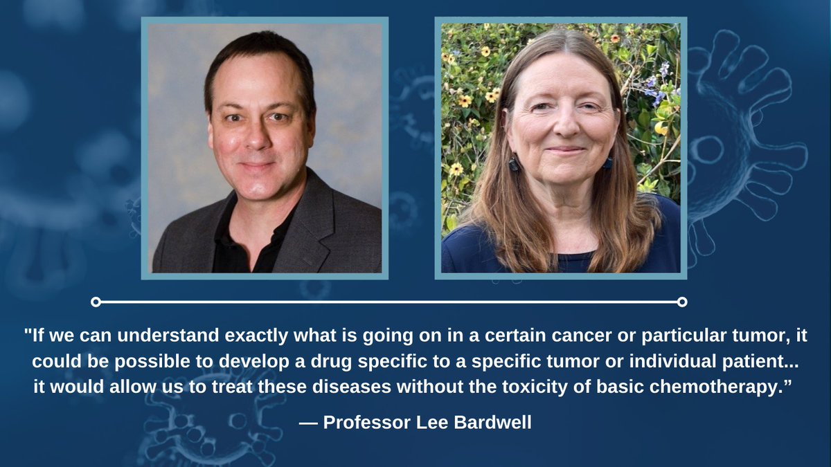 UCIBioSci's tweet photo. #BigNews: Better treatments for some of cancer’s deadliest forms could be closer due to #UCIBioSci research. Professor of Developmental and Cell Biology, Lee Bardwell and A. Jane Bardwell led this project. Read more: https://t.co/lpho2G6Xt3
#ucipride @leebardwell https://t.co/OZNpBTWwzM
