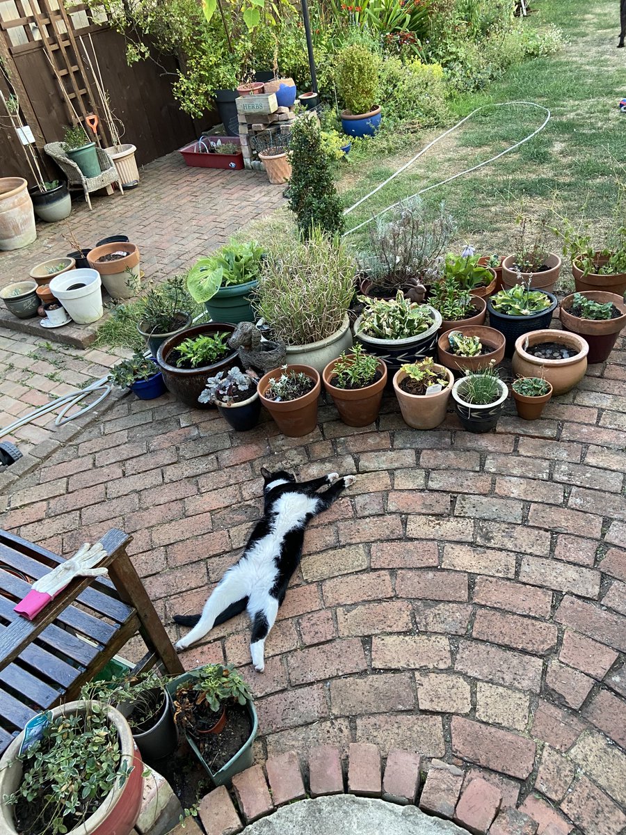 mgeotay's tweet photo. Sun bathing in Nottingham at 8:30pm .🤷🏻‍♂️ https://t.co/vzsTtmowXn