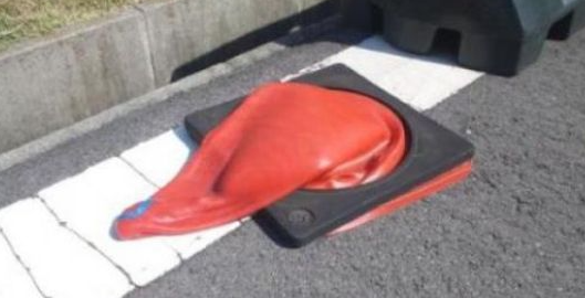 jamesaydelott's tweet photo. Monday sadness.  
The state flower of Oklahoma has melted.  #okwx https://t.co/xiNgORBBIU