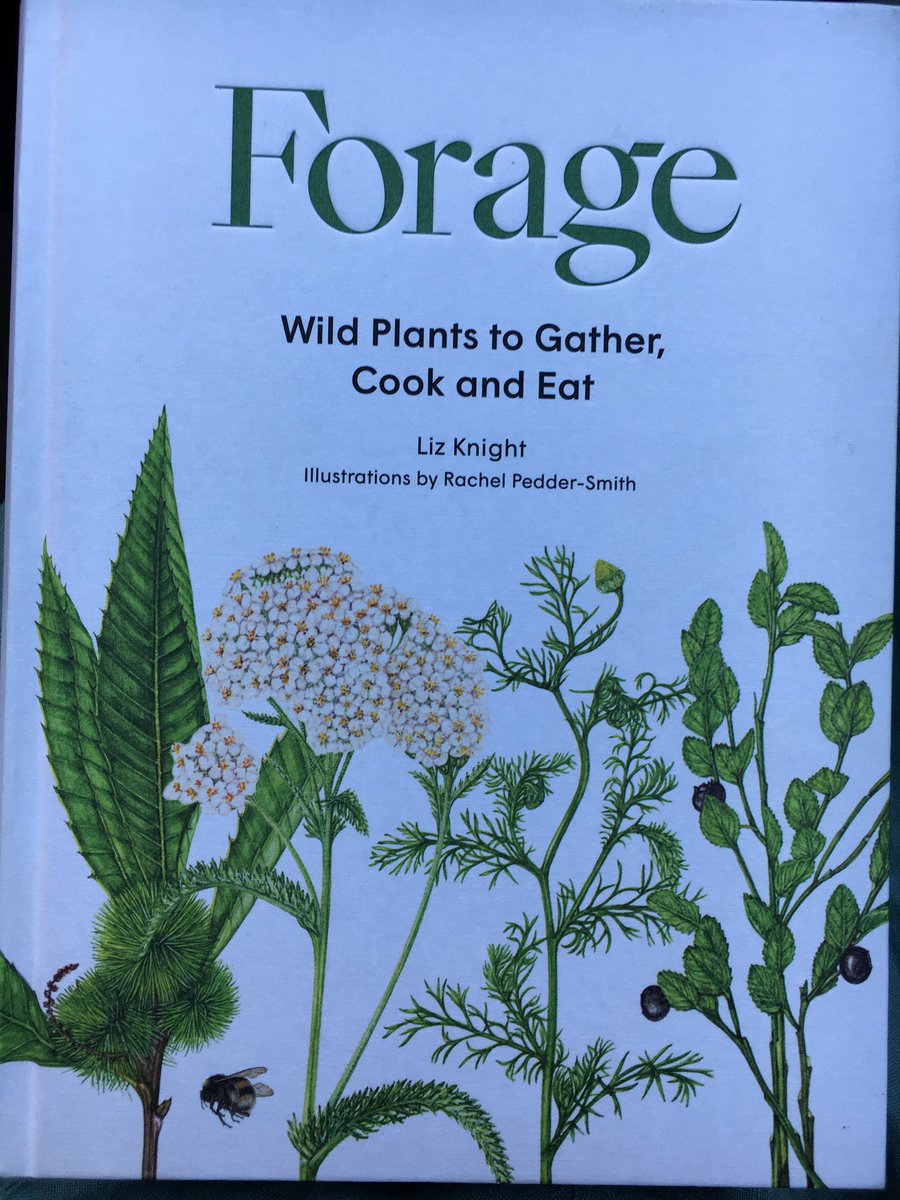 This is a goodie! @foragefinefoods