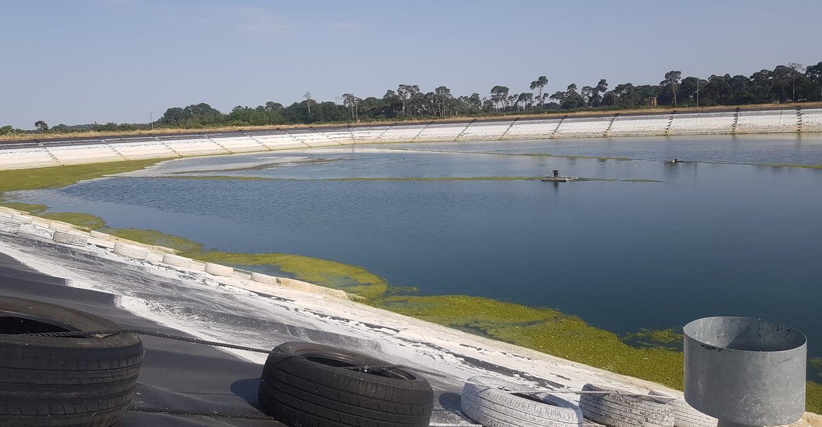 Ben Martin tweet media