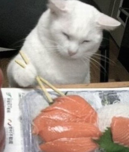 ؘ (@jjunnicat) on Twitter photo 