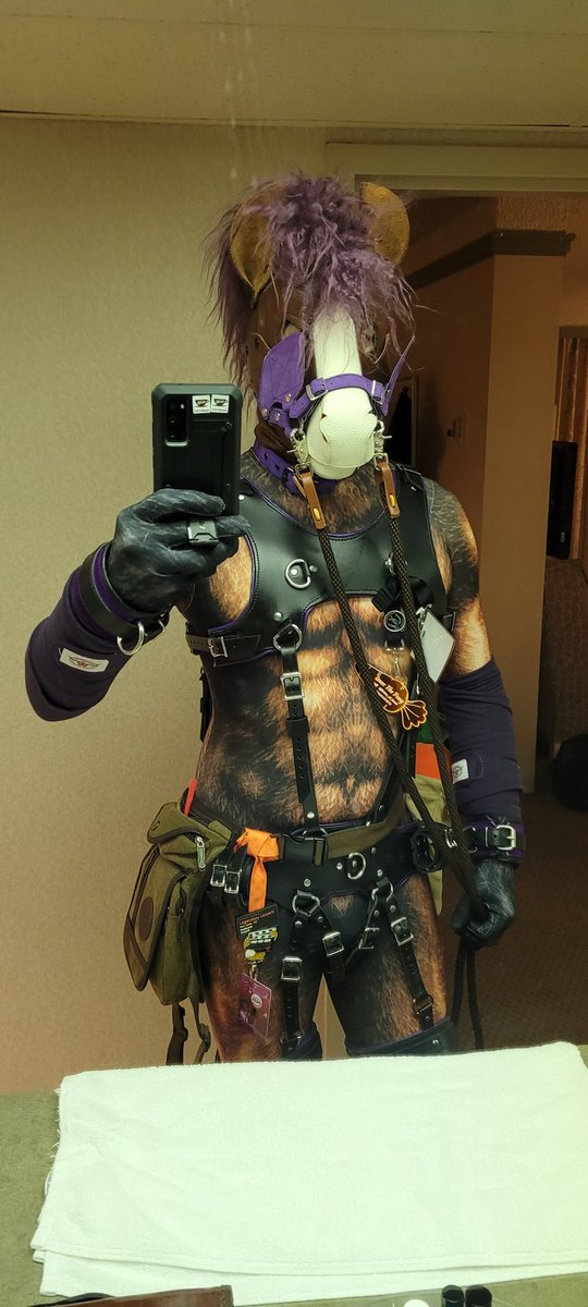 Reins_Of_Isaac's tweet photo. I was at #fureh and loved the event and panels, this sort of dressing was allowed after 21:00 which was very cool. It's not often I fully tac up.
I might keep attending with #isaachooves #isaacpony #ReinsofIsaac everyone was very cool and respectful.
#petplay #ponyplay #ponygear https://t.co/v5O25h5DuV