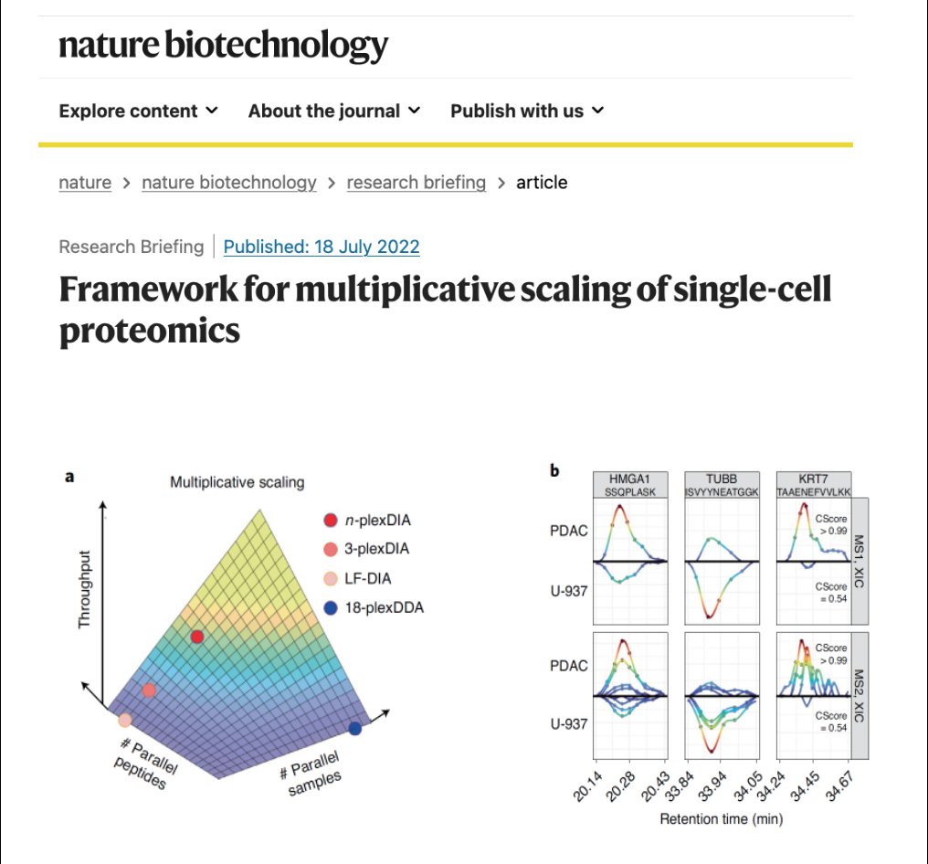 Can we analyze millions of single-cell proteomes? Can we achieve high accuracy & low cost? This @NatureBiotech article nature.com/articles/s4158… outlines a path forward. The principle was demonstrated by @slavovLab nature.com/articles/s4158…