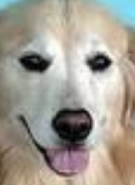 Emma Skinner🏳️‍🌈🏳️‍⚧️🇺🇦 tweet media