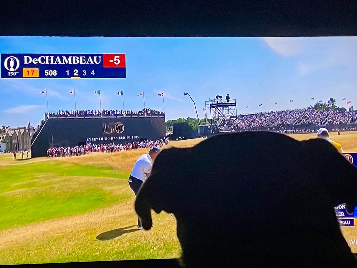 KennieBassWV's tweet photo. Dexter the past few days.
He likes golf, and says he would especially enjoy chasing the little white ball and chewing it up.
#DexterTV
#dogsoftwitter
#weratedogs
@dog_rates
@HeckinGoodDogs https://t.co/7gragUHKhA