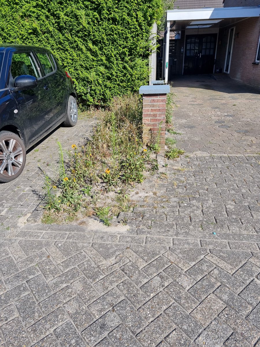 H.L. Jakobs tweet media