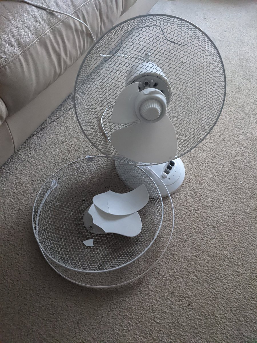 StephStaz's tweet image. #britishproblems #UKHeatwave