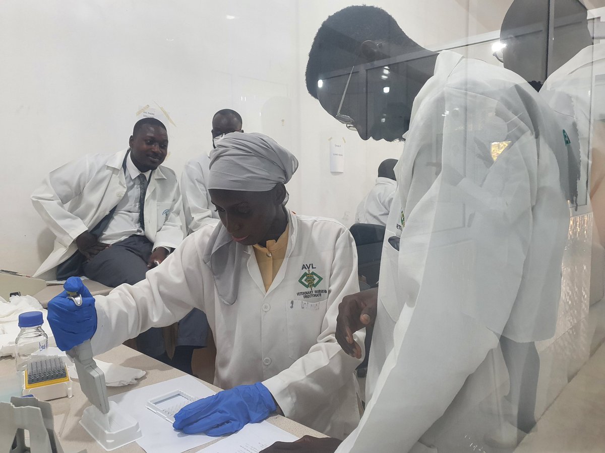 BahSaidal's tweet photo. Laboratory Training on diagnostic techniques of #peste_des_petits_ruminants #PPR organised by the Regional Animal Health Centre #RAHC of the #ecowas. Team #Gambia is committed to the Global agenda to eradicat #PPR_by_2030 https://t.co/5crvx9lkq6