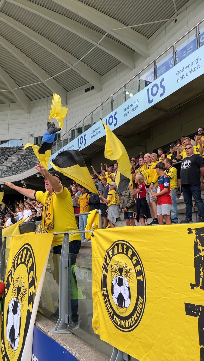 ⬇️💯👏 (vi er alle skuffet)