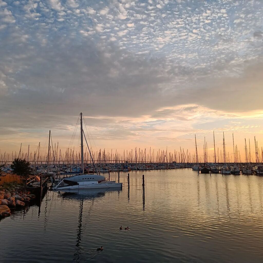 MusicRepo's tweet image. Sun setting over the harbour and Oresund Bridge beyond #oresundbridge #thebridge  #malmö #homeiswhereyouparkit #vanlife instagr.am/p/CgKpRWKD17C/