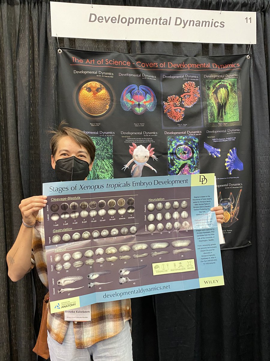 Look who also visited to pose with their artwork. <a href="/AnnekeKakebeen/">Anneke Kakebeen</a> who made the #xenopus tropicalis staging series poster for <a href="/DevelopmentalDy/">DevelopmentalDynamic</a> Stop by and pick up a copy if you are at #SDB2022