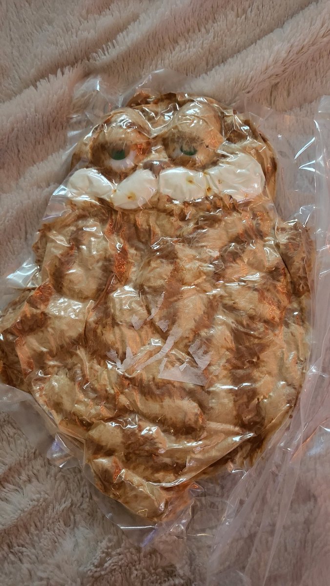FreyaAmari's tweet image. Vacuum-sealed Garfield is really something
