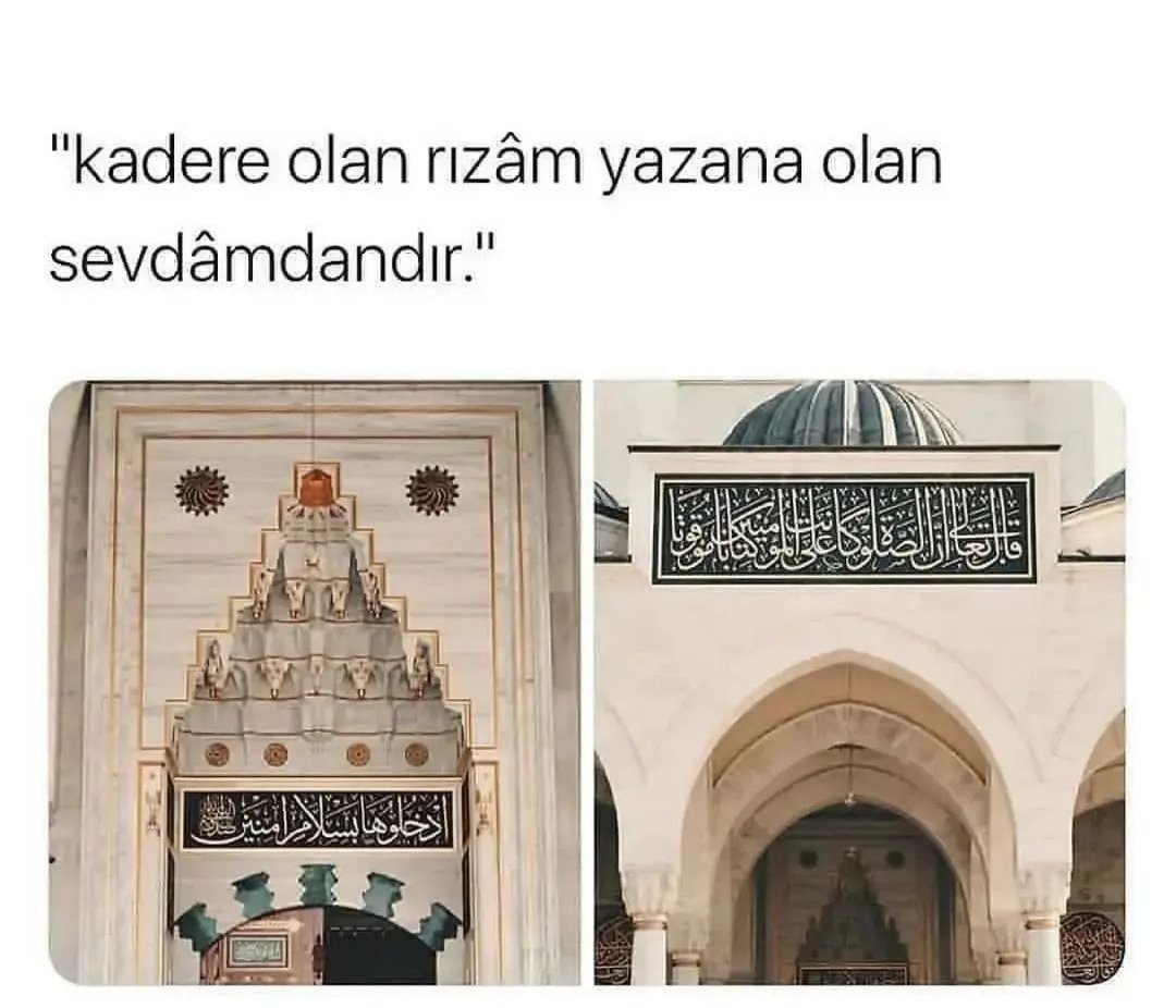 Yaşar (@yasar_161) on Twitter photo 